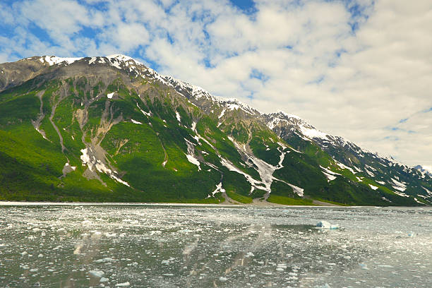 알래스카 마운틴에 있는 후버드 빙하 - hubbard glacier 뉴스 사진 이미지