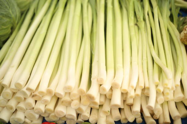 istock Leek fresh farmers market leeks 1359677674