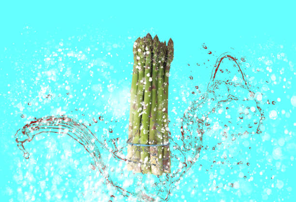 green asparagus with long stem green asparagus with long stem