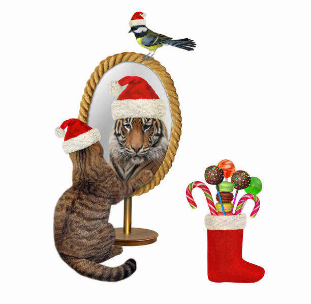 istock Cat looks in oval mirror for Christmas 2 1359686951