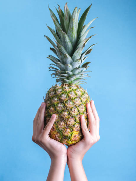 istock fresh pineapple being held by a pair of hands 1359692687
