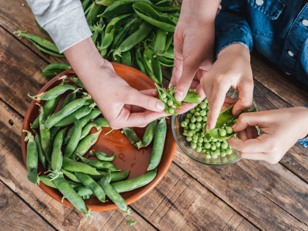 istock two kids removing peas from their pods, no faces are shown 1359692701