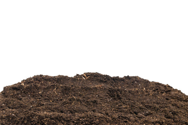 istock Soil for plant isolated on white background. 1359697254