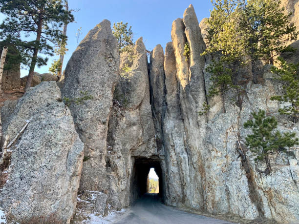 Needles Eye Tunnel A one way tunnel, Needles Eye Tunnel at Custer State Park in South Dakota. needles eye stock pictures, royalty-free photos & images