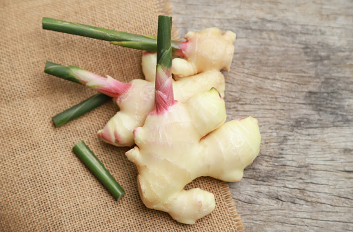 Fresh organic ginger from farm for using as a health care eating food or being ingredient in cooking
