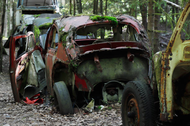 istock Old car wrecks 1359701915