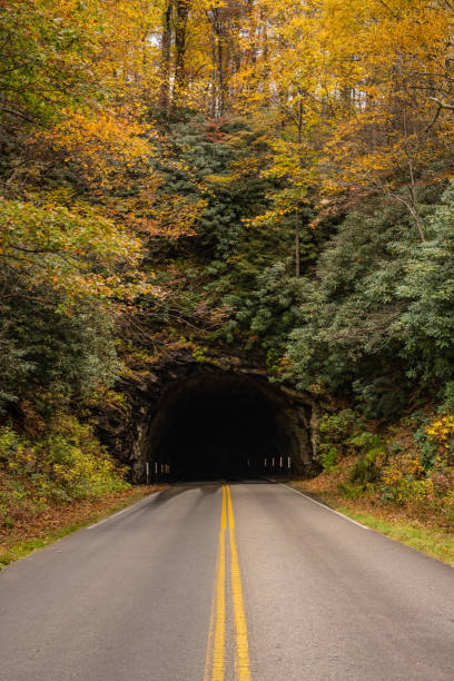 istock Fall Leaves Surround Dark Tunnel 1359704926