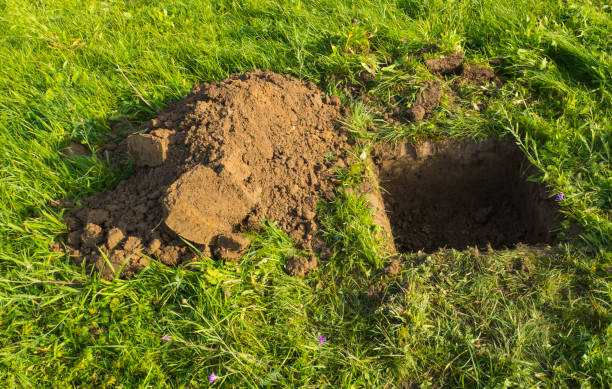 Excavated Hole with Soil in Meadow stock photo