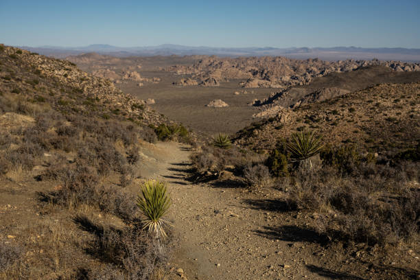 istock Lost Horse Loop Trail Drops Toward The Valley Below 1359706398