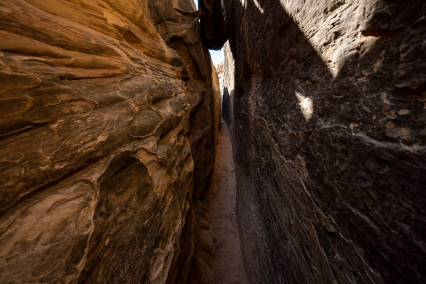 istock Narrow Trail and Tree Trunk Wedged Between The Cliffs Of The Joint Trail 1359706483