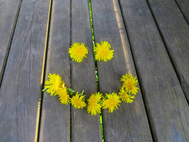 Faces and Smileys with Flowers