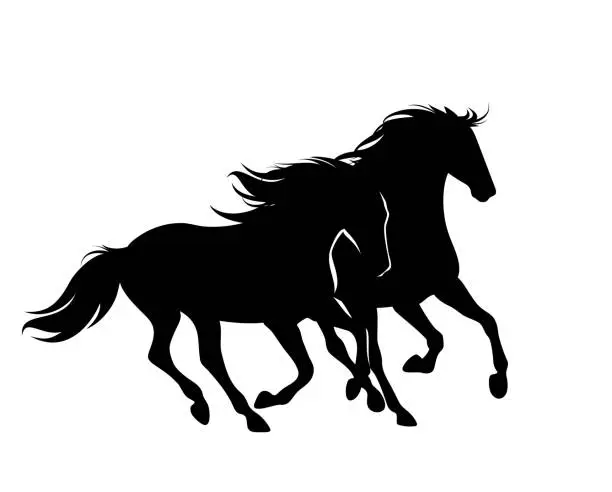 Vector illustration of pair of running horses black and white vector silhouette