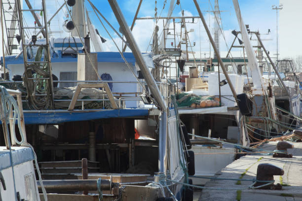 istock fishing boats moored port 1359709932