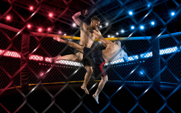 istock MMA boxers fighters fight in fights without rules 1359720700