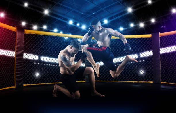 istock MMA boxers fighters fight in fights without rules 1359720703