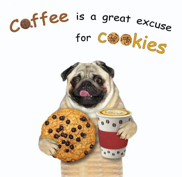 Photo of Dog pug holds cookie and cup of coffee