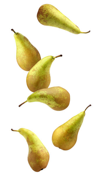 istock falling pears isolated on a white background with a clipping path. pear conference. 1359726803