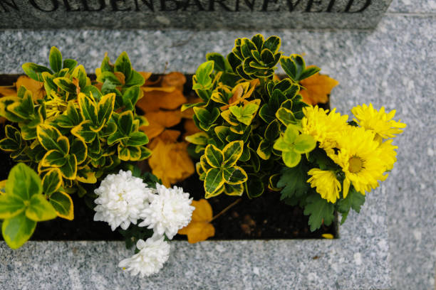 istock Tombstone Flower in Paris Cemetery 1359732929