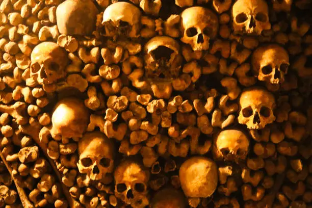 Skulls and Bones in a Heart Shape, Catacombs, Paris, France