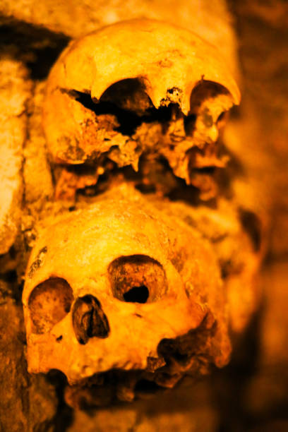 istock Skulls in Catacombs, Paris, France 1359732962