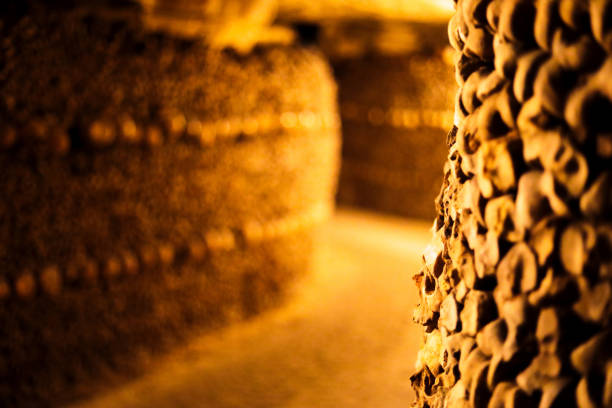 pile di ossa, catacombe, parigi francia - catacomb foto e immagini stock