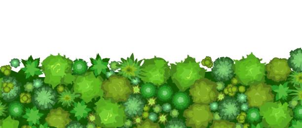 Beautiful summer landscape with trees. View from above. Illustration in a flat style. Scenarios from above. The edge of a dense forest. Cartoon design. Vector.