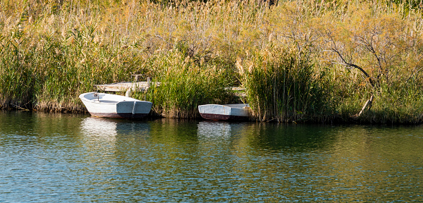 Two wooden boat standing among the reeds on the river in Koycegiz, Dalyan.