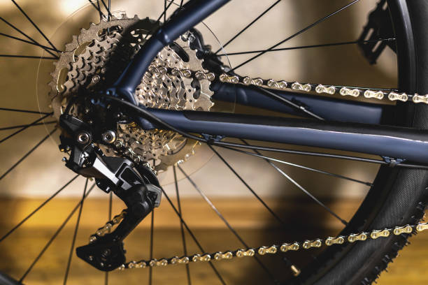 istock Bicycle rear wheel with sprocket cassette and gear derailleur 1359736528