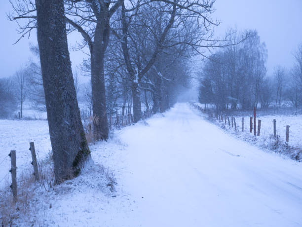 istock Dangerous mountain asphalt road during heavy snowfall 1359739200