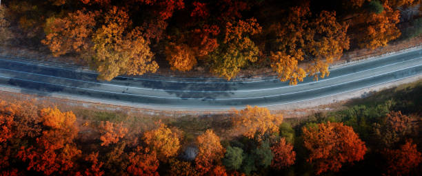 istock Wonderful autumn landscape. Paved road through the forest drone view. 1359741082