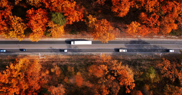 istock Wonderful autumn landscape. Paved road through the forest drone view. 1359741085