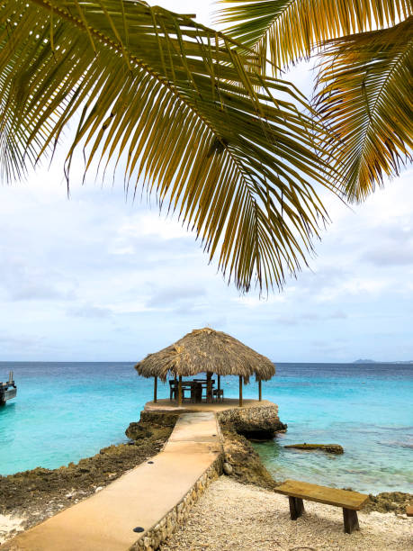Beach hut boardwalk caribbean sea Bonaire with palm trees