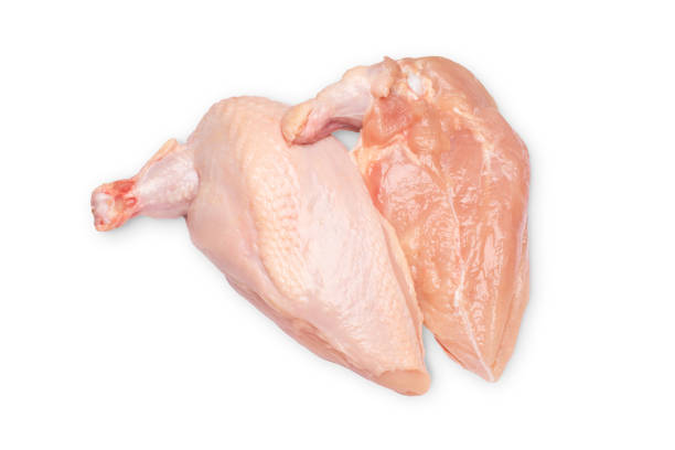 Fresh chicken meat. Two piece Chiken supreme.Isolate. Two piece Chiken supreme.Isolate. Fresh chicken fillet with a wing on a white background .Raw chicken meat on a white background.Healthy food.Fresh chicken meat. turkey breast stock pictures, royalty-free photos & images