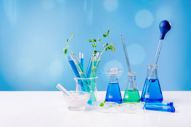 istock Lab test. Scientific experiment.Chemistry experiment concept in science laboratory , science flasks of different sizes contain different chemicals.Laboratory equipment, glass flasks, pipettes. 1359748526