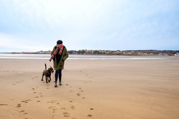 istock A winter walk with the puppy 1359749096