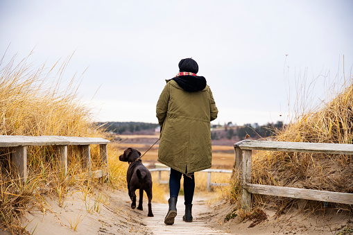 A woman walks her puppy on a beach on a cold winter day. Photographed in North America.
