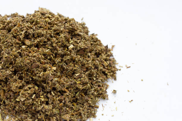 istock Dried absinthe wormwood on white background. 1359751769