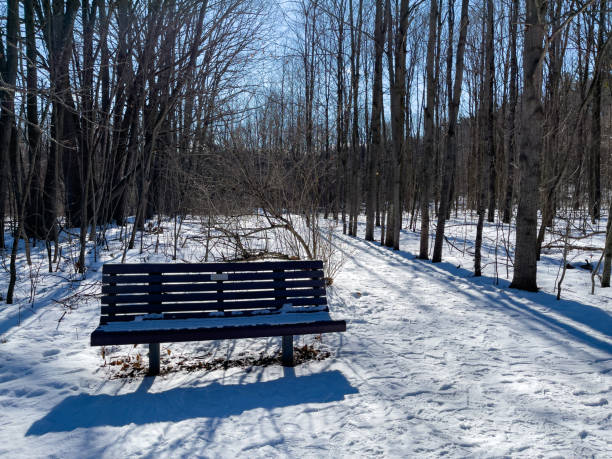 istock William Granger Greenway and Boyd Conservation Park in winter, Vaughan, Canada 1359751896