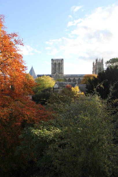 istock York minster garden with different colours of trees 1359756907