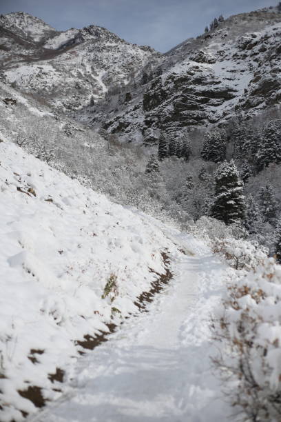 istock The winter season 1359757062