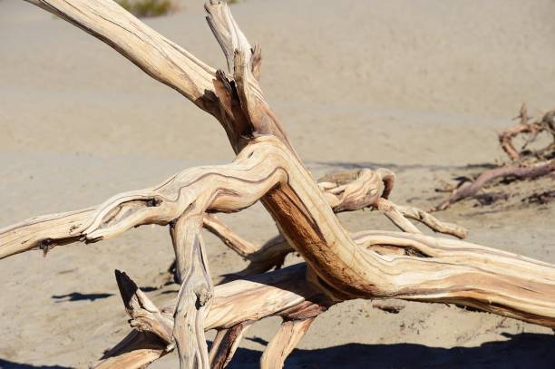 istock Death Valley National Park 1359760445