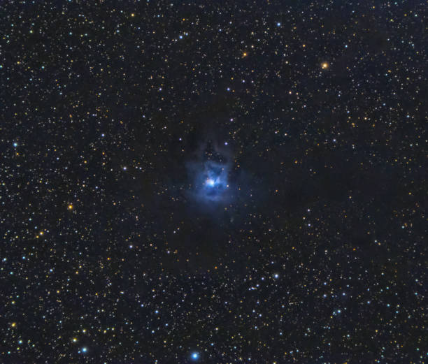 istock The Iris Nebula, also known as NGC 7023, is a bright reflection nebula in the constellation Cepheus 1359764262