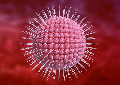 El virus de la varicela zóster es la causa del herpes en los seres humanos. Ampliación microscópica photo