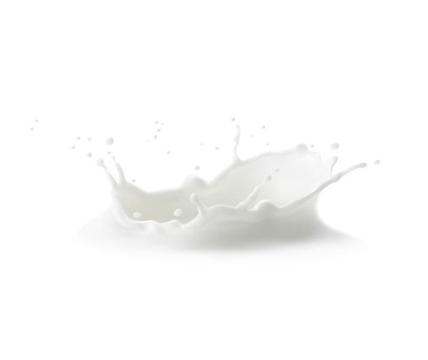 ilustraciones, imágenes clip art, dibujos animados e iconos de stock de salpicaduras de corona de leche, salpicaduras y gotas lechosas blancas - milk