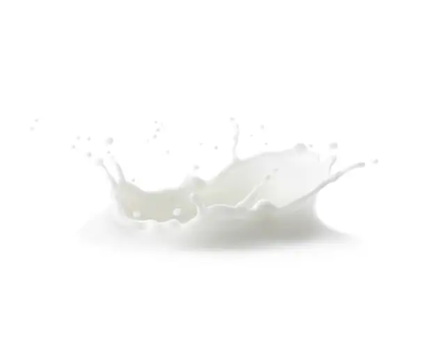 Vector illustration of Milk crown splash, splatters and white milky drops