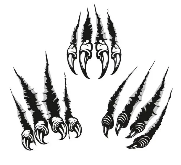 Vector illustration of Monster claw marks, scratches with long nails.