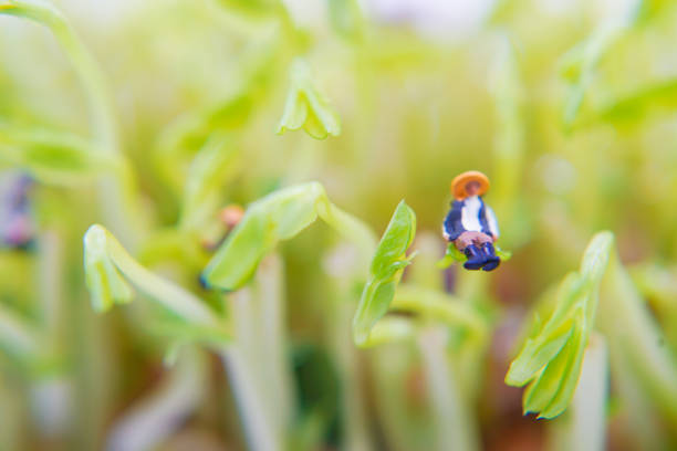 Small person sitting in tree leaves. Shooting Location: Yokohama City Tsurumi Ward