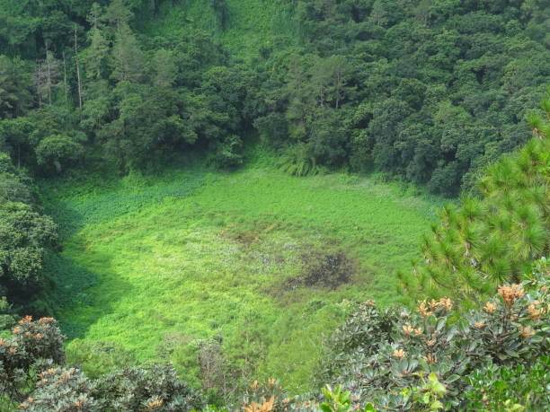 istock Mauritius Tour and Natural beauty 1359781420