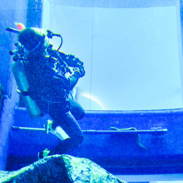 marine leisure
