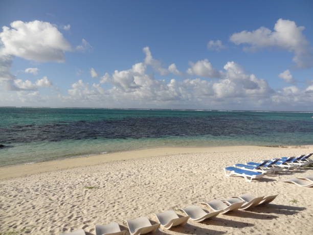 istock Mauritius Forest and City 1359787772
